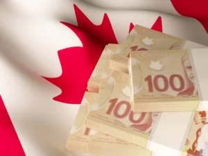 Read more about the article Investing in Your Future: Exploring Investor Immigration Options in Canada